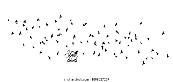 A Large Flock Of Flying Birds. Vector Illustration