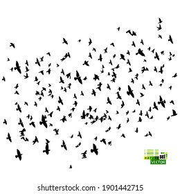 A large flock of flying birds. Vector illustration