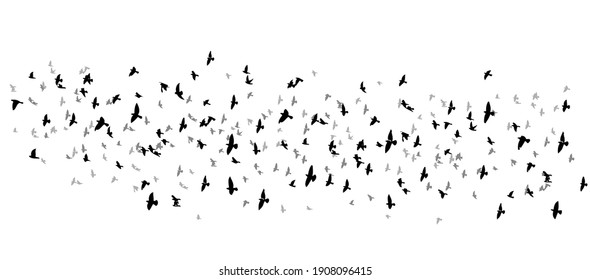 22,243 Bird flock vector Images, Stock Photos & Vectors | Shutterstock