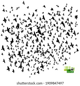 A large flock of flying birds. Vector illustration