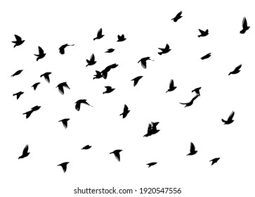 A large flock of flying birds. Vector illustration