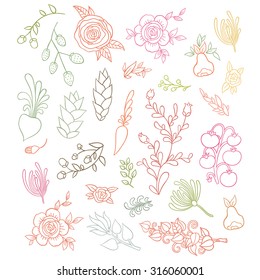 large floral set hand-drawing flowers - elements for design your  cards, invitations, prints, stickers and fabrics