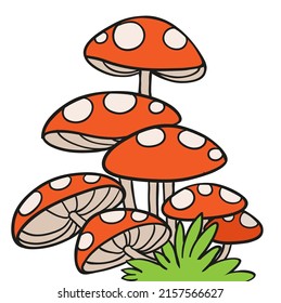 Large fly agaric mycelium color variation for coloring page isolated on white background