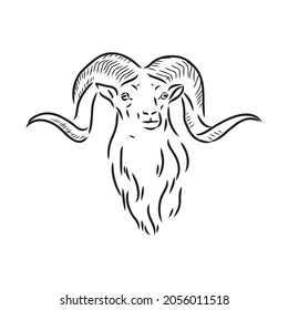 Large goat horns screwed shape from back, sketch vector drawing in graphic style on white background