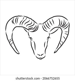 Large goat horns screwed shape from back, sketch vector drawing in graphic style on white background
