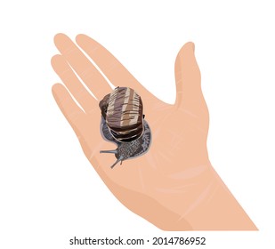 Un gran caracol de uva en la palma de tu mano. Realismo. Ilustración de material vectorial.