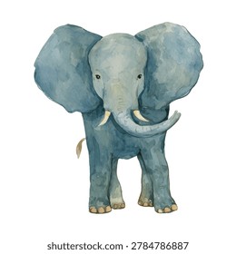 Large gray elephant with big ears