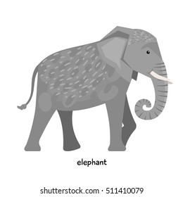 Large gray elephant with big ears and  long trunk