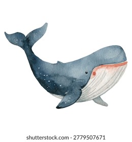 Large gray whale with white underbelly