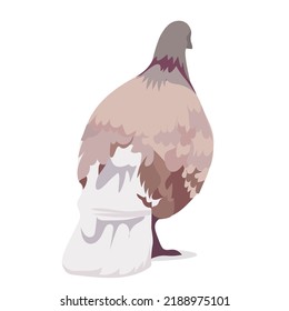 A large gray-beige dove walks on a white background. Isolated vector illustration, eps 10.