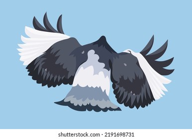 A large gray-white dove flies with its wings spread on a blue background. Isolated vector illustration, eps 10.