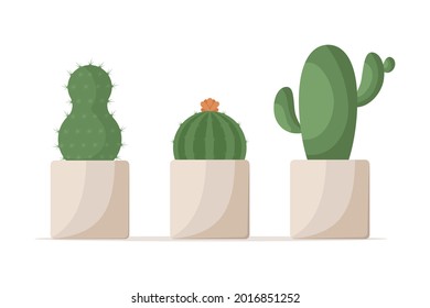 Large green cacti of different shapes in square ceramic flower pots. Prickly flowering cactus. Plant element of design interior for home, office, cafe. Cartoon vector illustration