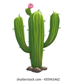 A large green cactus with pink flower isolated on white background. Vector cartoon close-up illustration.