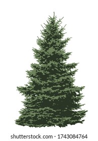 Grosser, grüner Tannenbaum auf weißem Grund. Große Weihnachtsbaum, Vektordesign 10