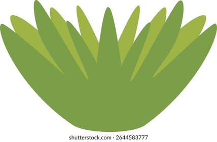 Large green grass tuft with long pointed leaves, perfect for garden decoration, lawn designs, nature backgrounds, eco-friendly visuals, spring scenery, and outdoor natural environment illustrations.
