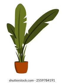 A large green houseplant in a ceramic pot. Flat vector illustration in a simple minimalistic style.	