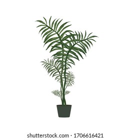 Large green houseplant. Isolated on a white background. Vector.