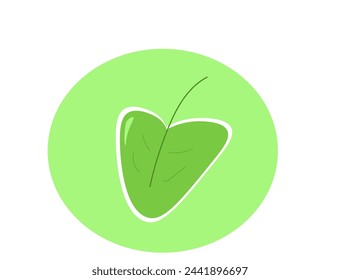 una gran hoja verde sobre un fondo verde