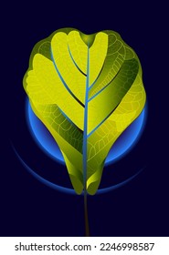 Gran hoja verde sobre fondo azul - ilustración vectorial