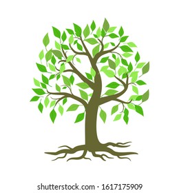 Large green leaf tree with white background, vector illustration