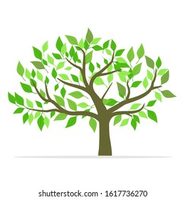 Large green leaf tree with white background, vector illustration