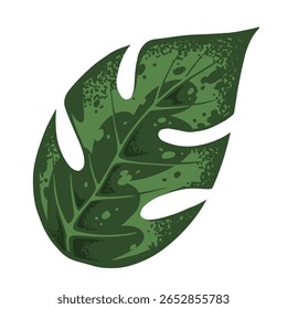 Uma grande folha de monstro verde exibe suas fendas e buracos únicos apresentando texturas e padrões ricos. Esta planta tropical traz um toque vibrante para qualquer cenário de decoração ou jardim.