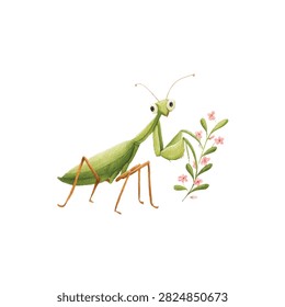 Large green praying mantis insect standing
