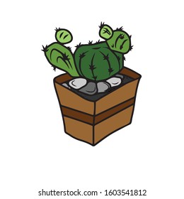 A large green round cactus and small cacti in a brown pot with stones for decoration.Vector illustration.Form for banners, postcards. Nature