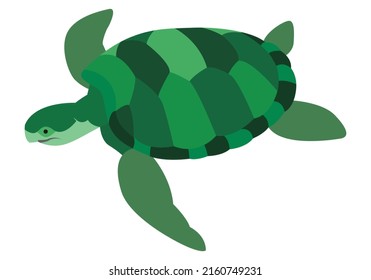 Large green sea turtle on beach.