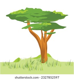 Large Green Tree on grass 