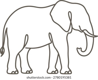 A large grey elephant standing alone on white background side view