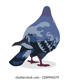 A large grey-blue black dove walks on a white background. Isolated vector illustration, eps 10. View from the back.