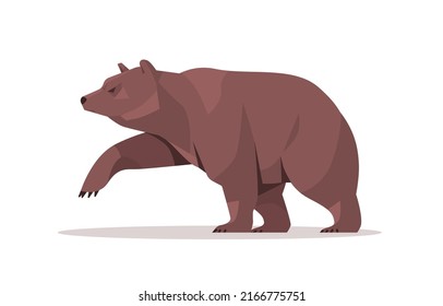 large grizzly bear big dangerous mammal animal horizontal