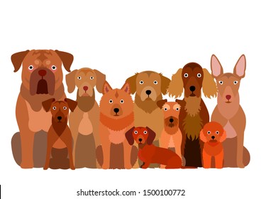 large group of  brown dog