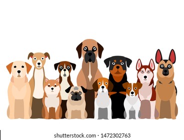 large group of brownish dogs