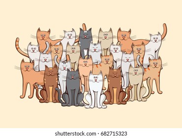 Large Group Of Cats