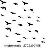 A large group of small black bird silhouettes flying in various positions on a plain white background, symbolizing journey and nature.
