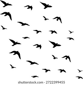 Un Grande grupo de Pequeñas siluetas de pájaros negros volando en varias posiciones sobre un fondo blanco, simbolizando el viaje y la naturaleza.