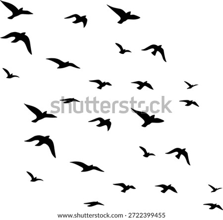 A large group of small black bird silhouettes flying in various positions on a plain white background, symbolizing journey and nature.