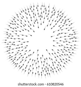 A large group of spermatozoa flows towards the target