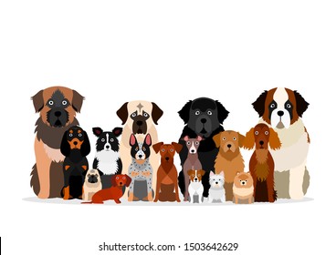 large group of various breeds dogs