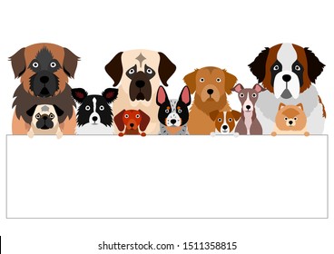 large group of various breeds dogs with white board