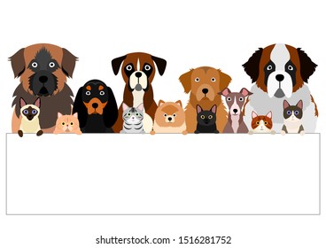 large group of various breeds dogs and cats with white board