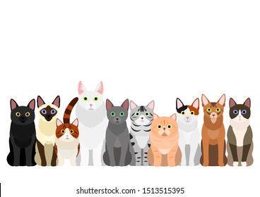 large group of  various cats