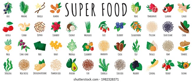 Large healthy super food set as acai, quinoa, goji, chia, maca, spirulina, mulberry, cocoa, sesame, turmeric. Natural vitamin antioxidant detox food collection. Vector cartoon isolated illustration.