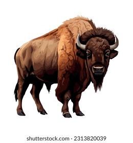 Large horned bison on white background icon isolated