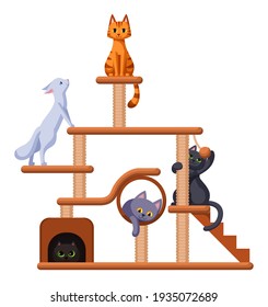 Large house-complex for cats with shelters, playgrounds, scratching posts and a toy. Cats rest and play in the house. Isolated on white background