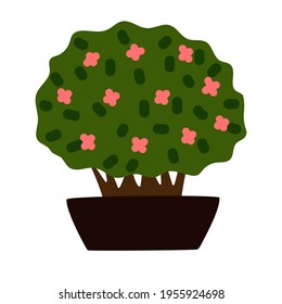 A large houseplant. A large bush with pink flowers in a tub. color picture, clipart, icon. Plant for the veranda and garden.