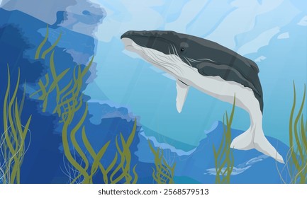 A large humpback swims near seaweed-covered underwater mountains. Realistic vector landscape