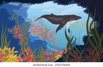 A large humpback swims past an underwater cave with corals and algae. Realistic vector landscape